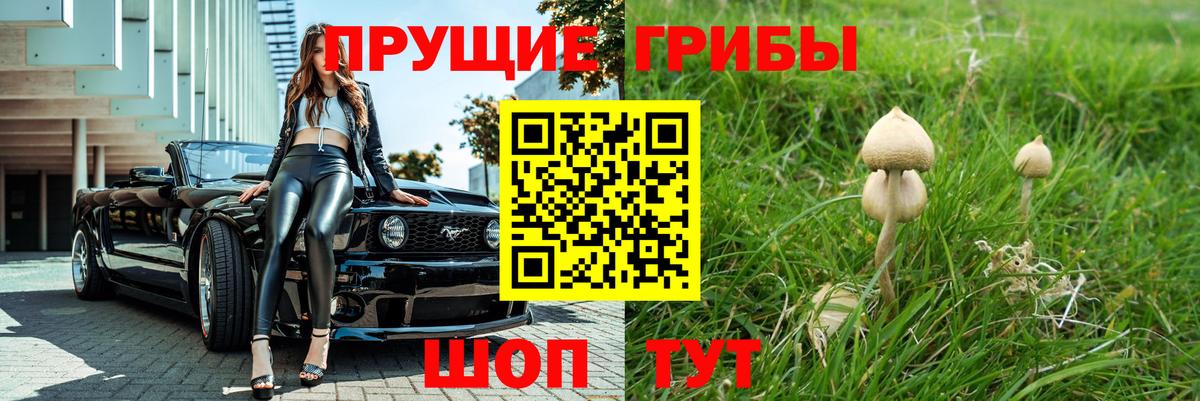 где продают   Вход с VPN  Россошь  Галлюциногенные грибы ЛСД 