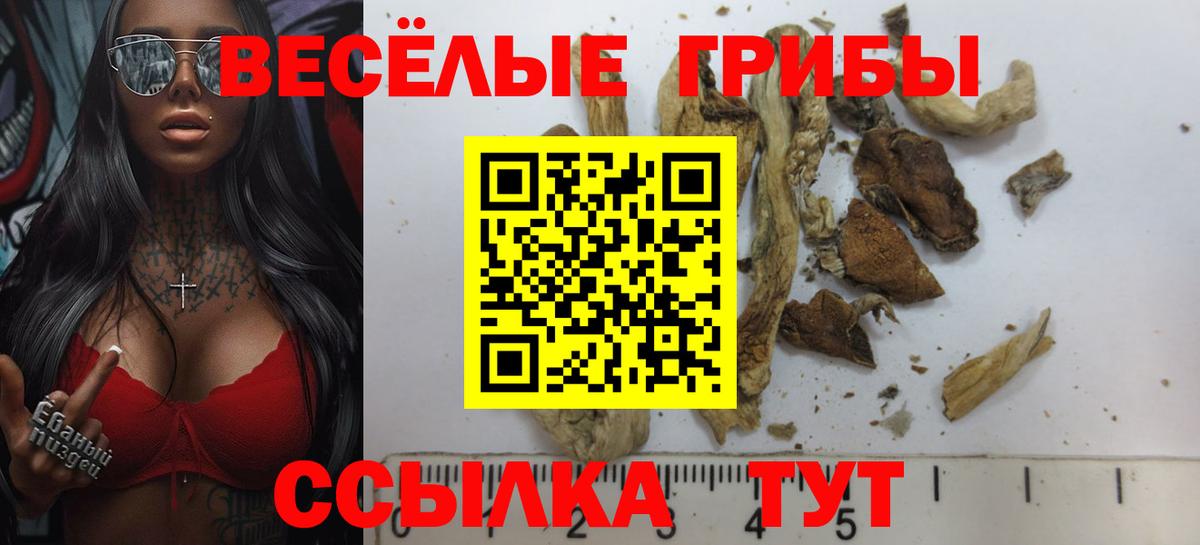 Псилоцибиновые грибы Cubensis  Галлюциногенные грибы ЛСД  Россошь 